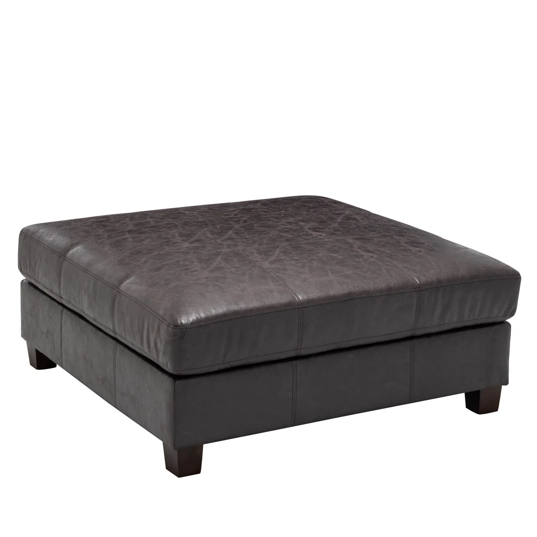 Annlynn Faux Leather Ottoman