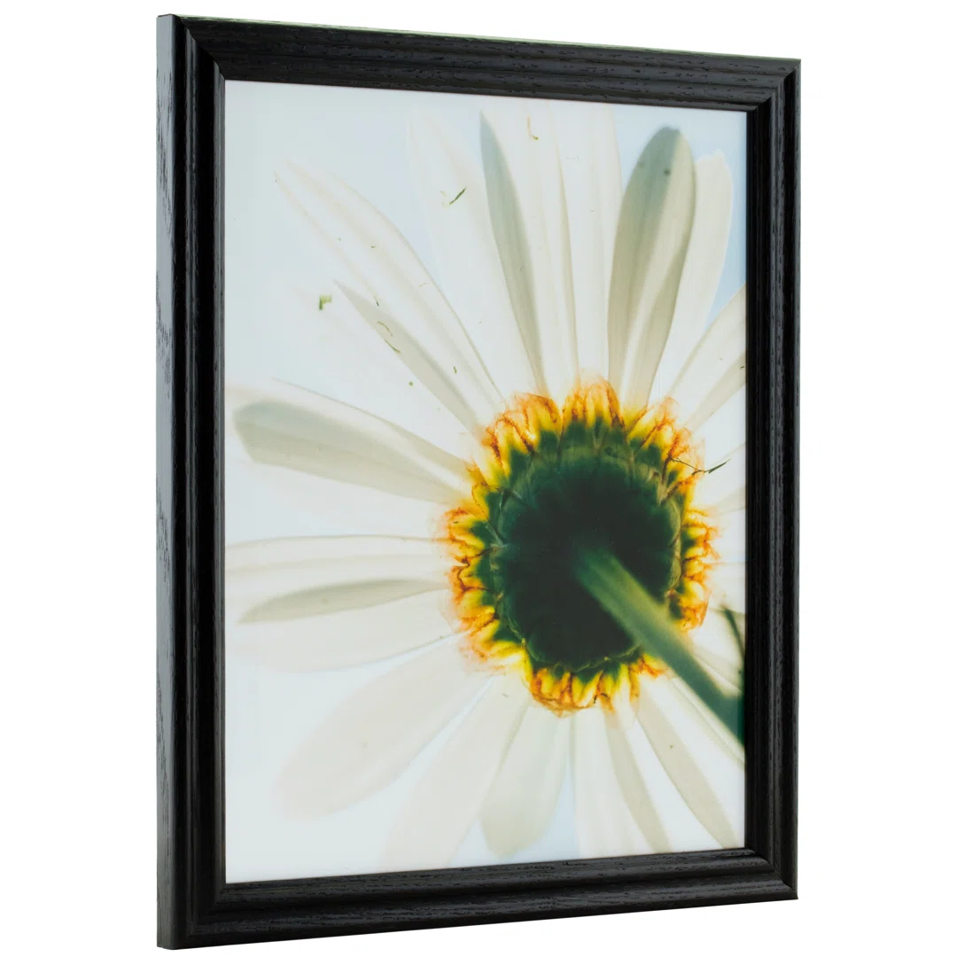 Wood Beveled Picture Frame