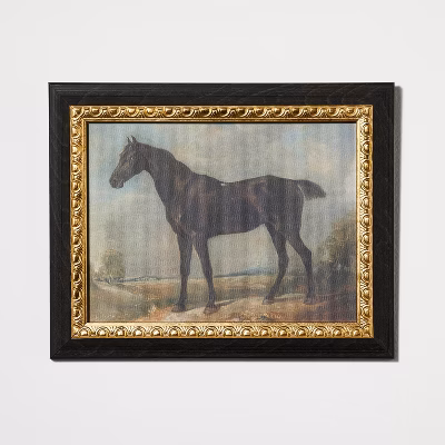 Stallion On Canvas