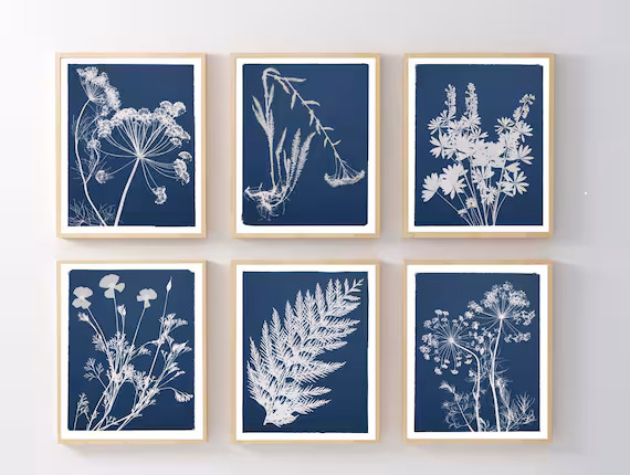 Set Of 6 Cyanotype Botanical Prints Blue