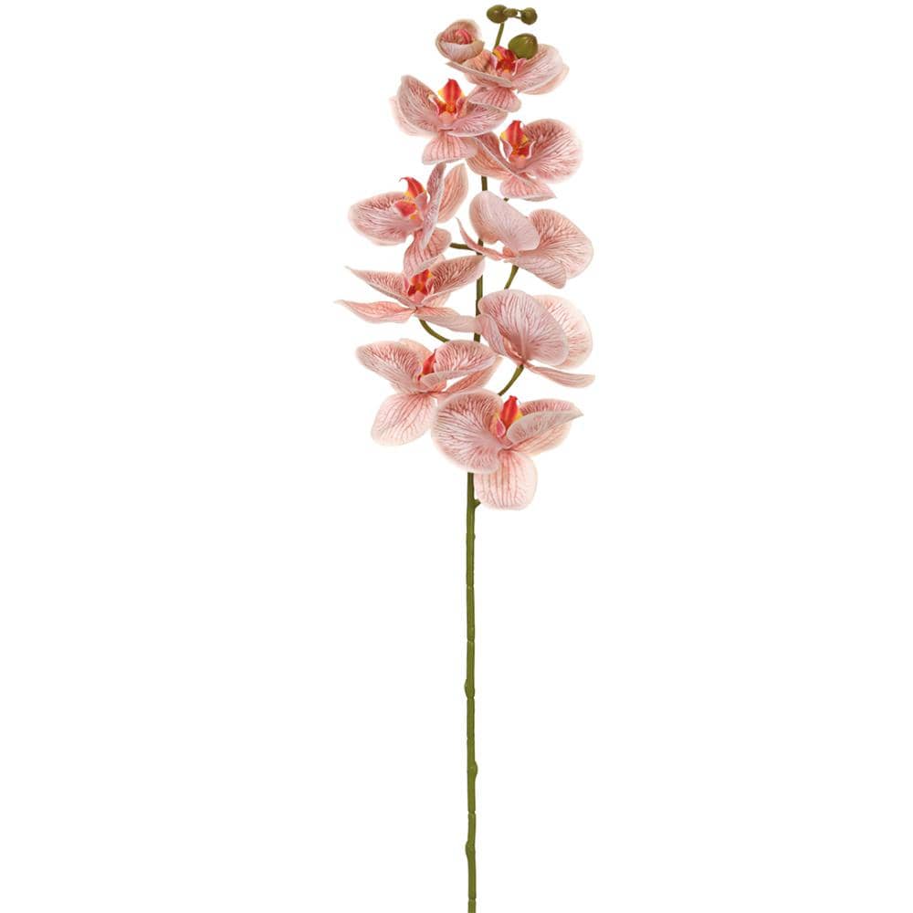 Faux Phalaenopsis