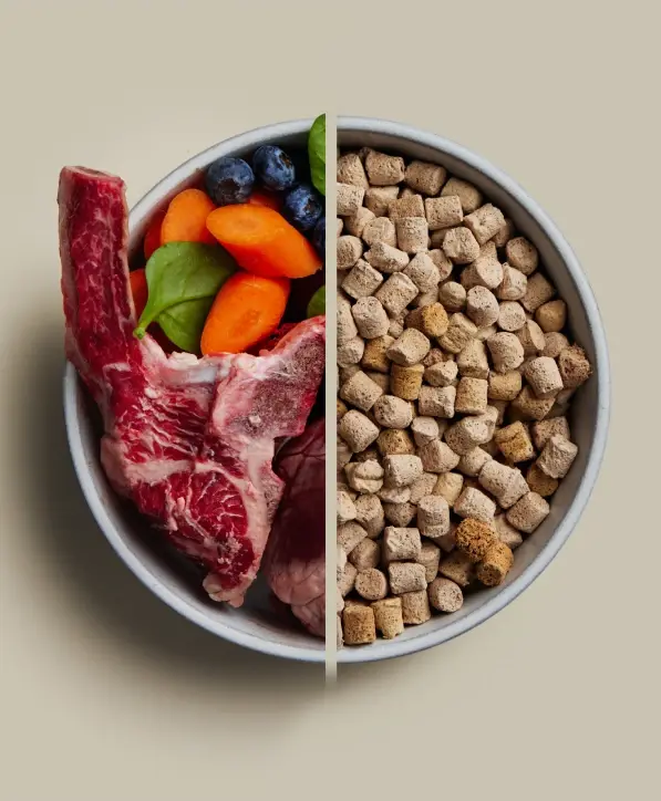 Freeze-dried Raw Beef Dog Food Recipe | We Feed Raw