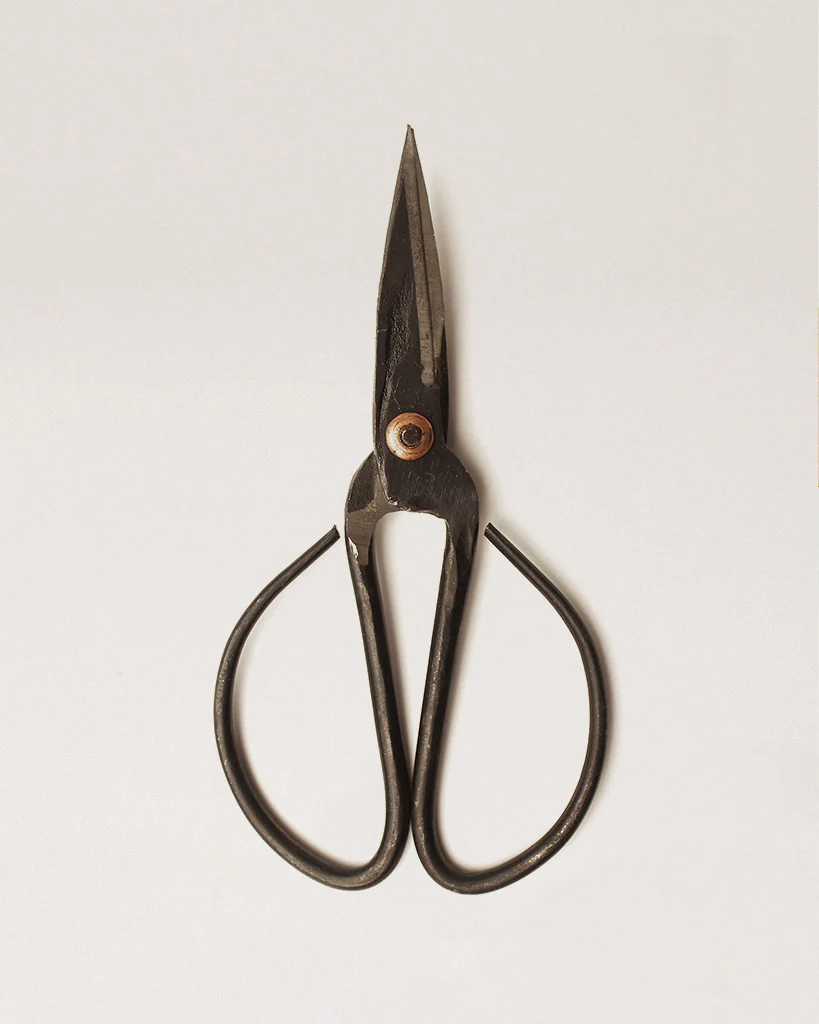 Forged Steel Scissors