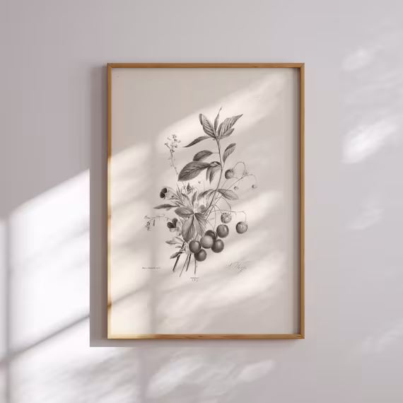 Framed Antique Branch Sketch Framed