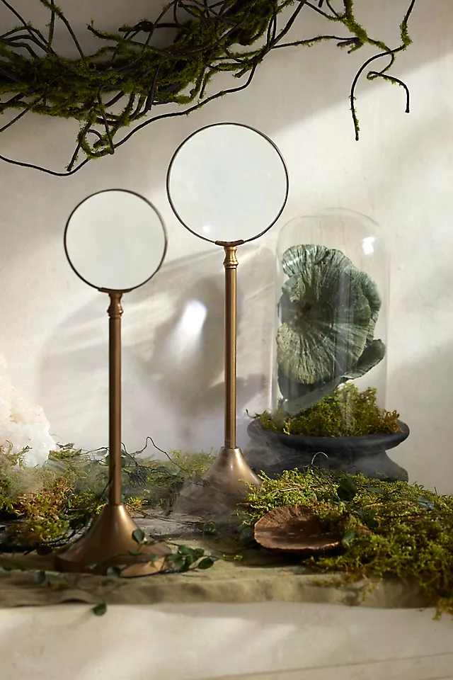 Magnifying Glass On Stand2