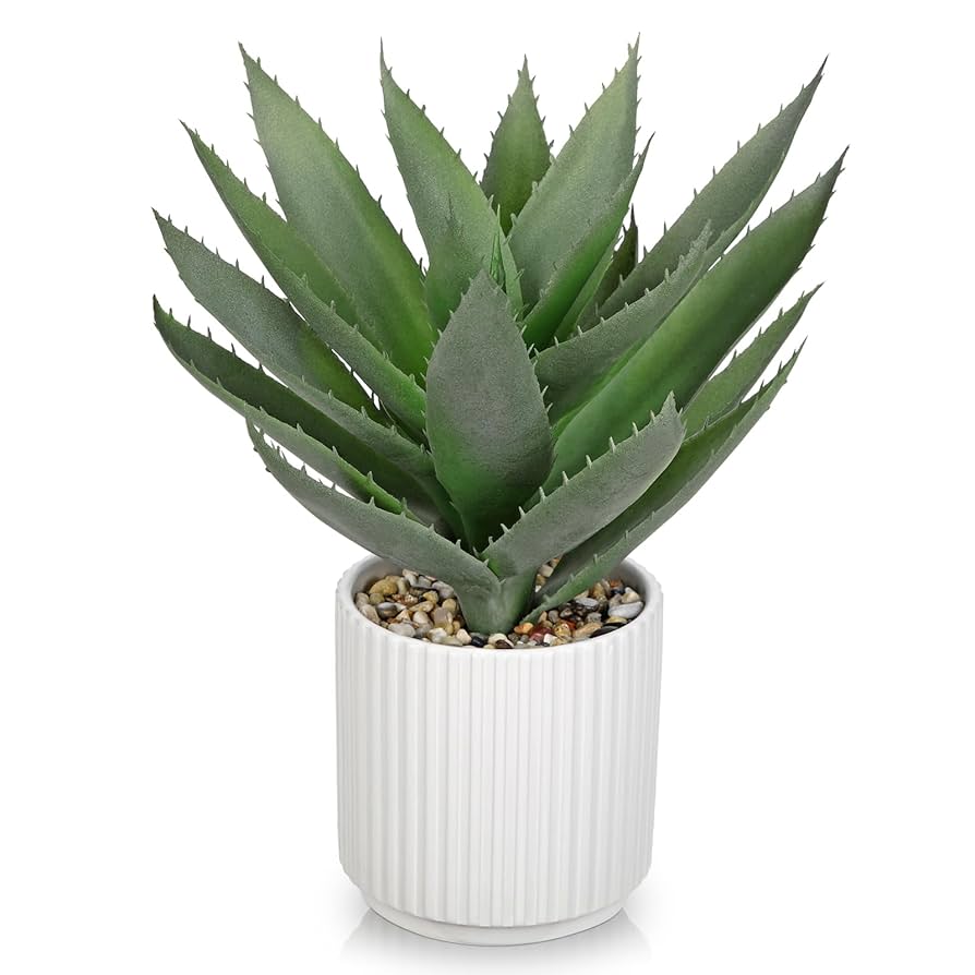 Hollyone Artificial Agave Plants Fake Succulent Agave Plant Potted In White Pot Succulents Aloe Plant For Desk Modern Office Living Room Table Shelf Home Indoor Outdoor Decor : Home & Kitchen
