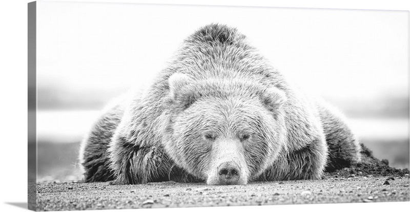 Deep Sleep