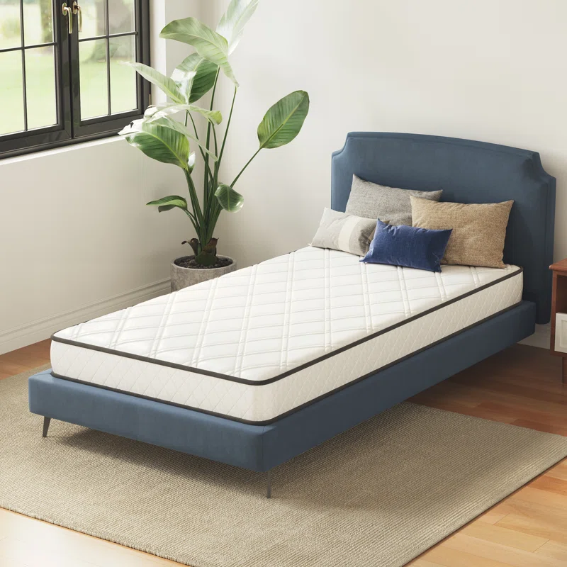 Wayfair Sleep 6" Firm Innerspring Mattress