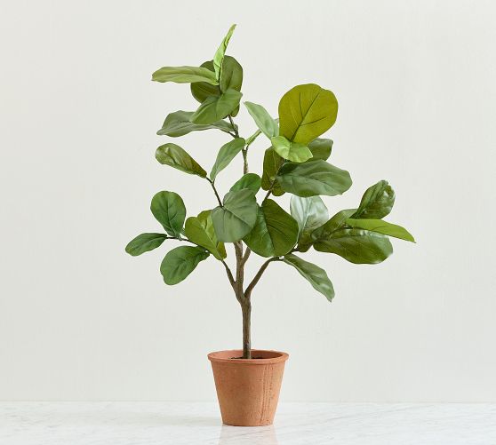 Faux Potted Fiddleleaf Topiary