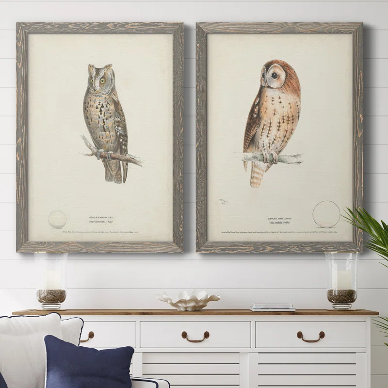 " Scops- Eared Owl " 2 - Pieces