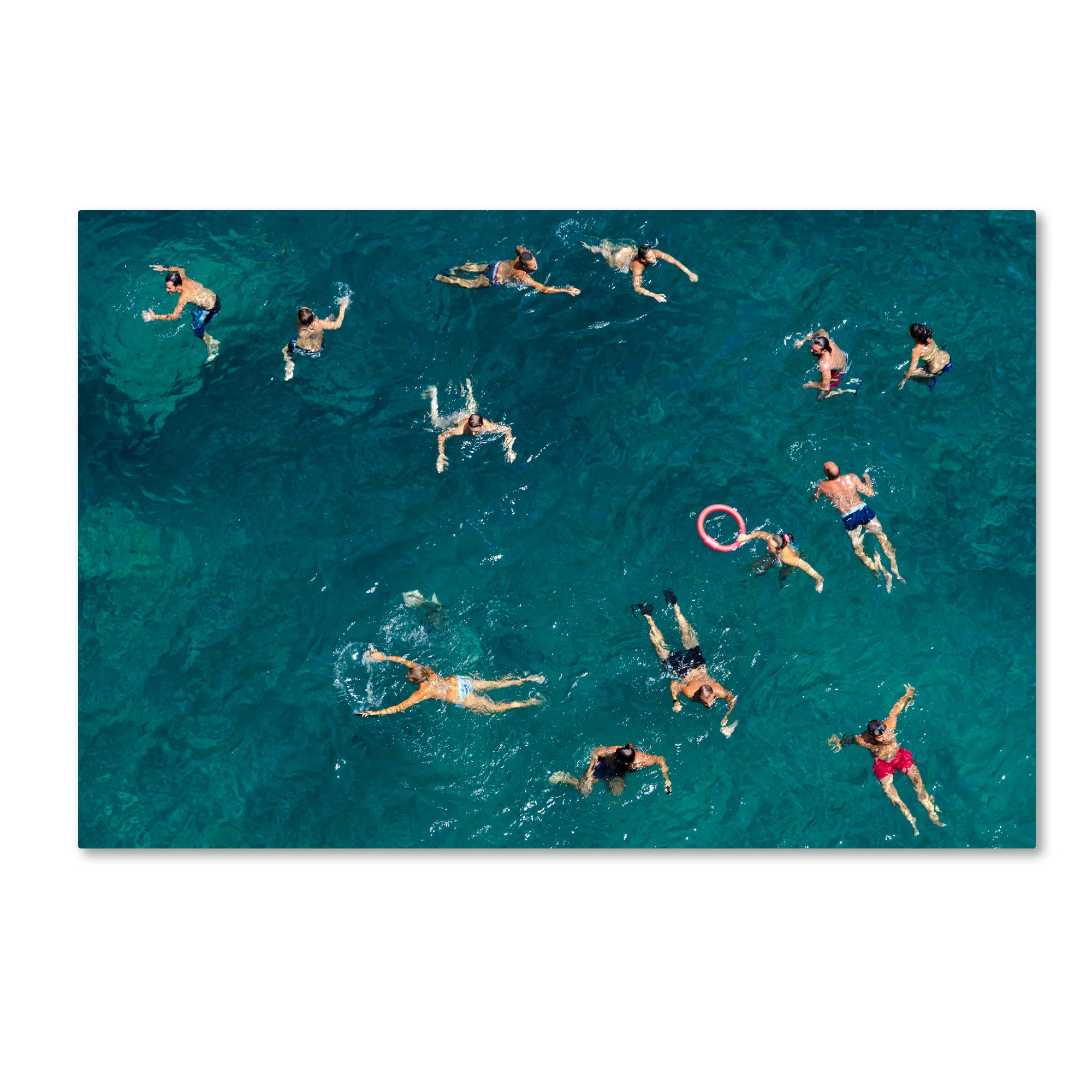 'Swim' Photographic Print on Wrapped Canvas