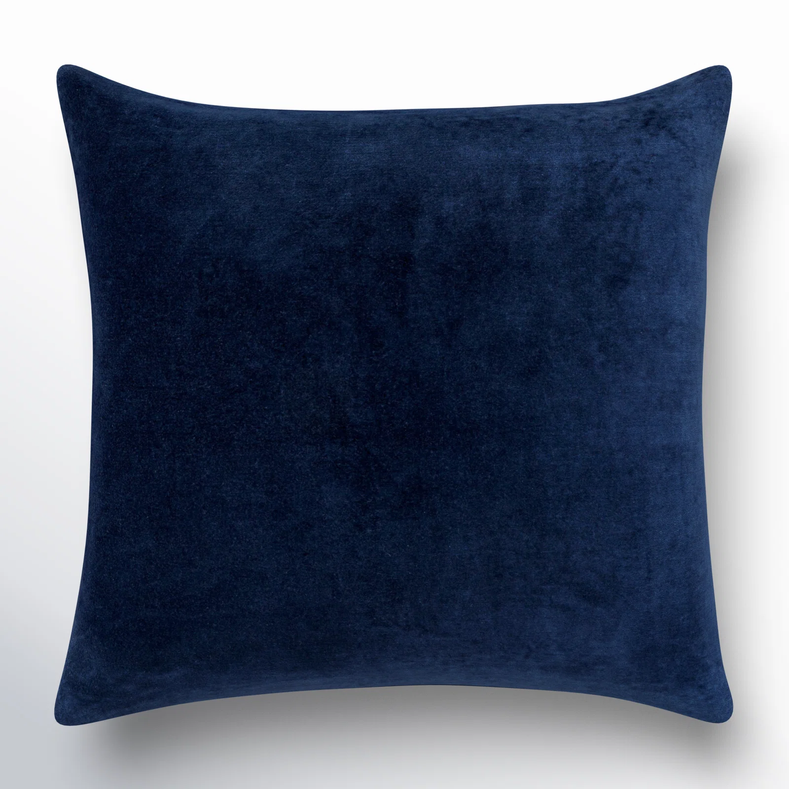 Nacy Velvet Throw Pillow 
