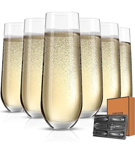 Stemless Champagne Flutes Glasses 