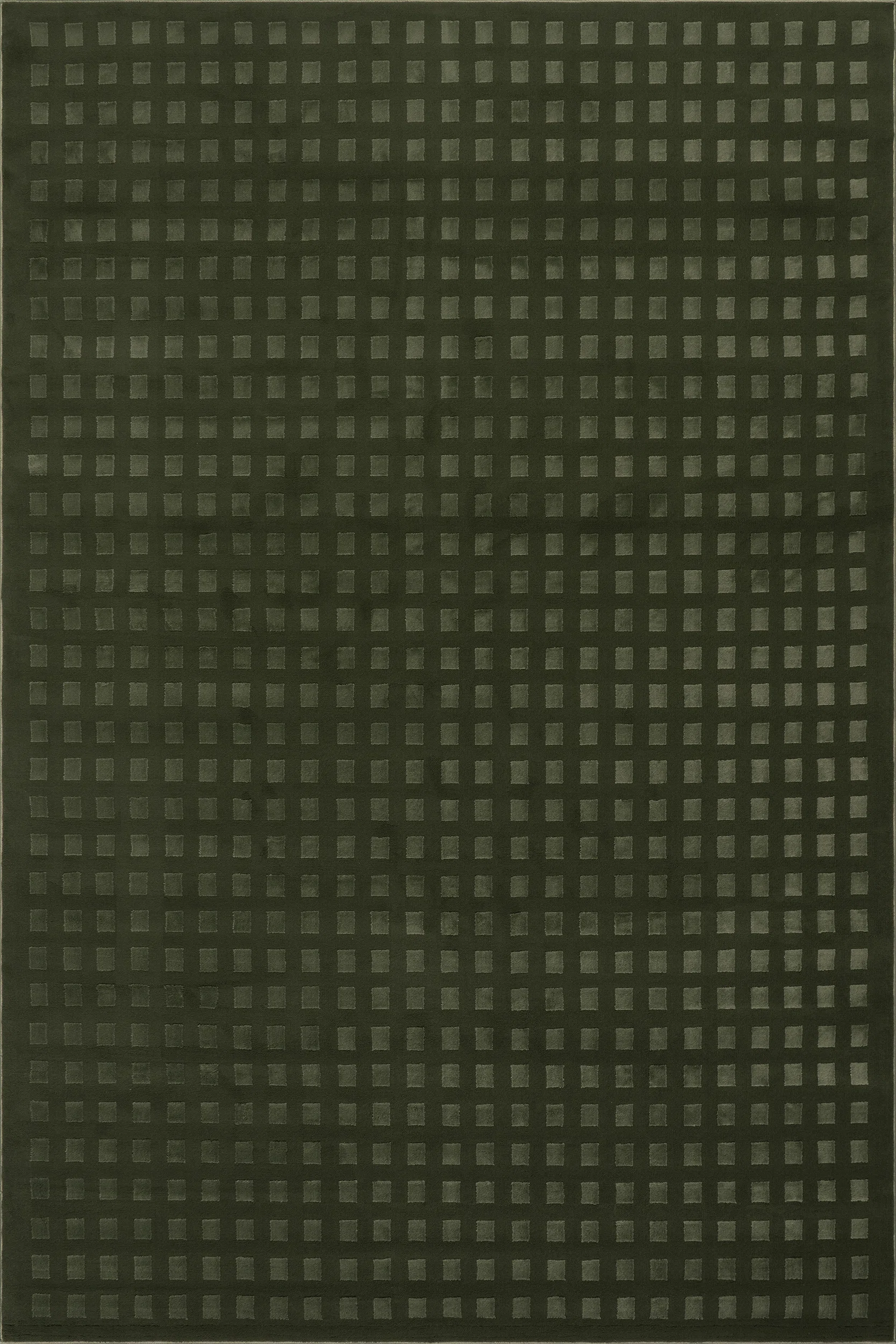 Daleyza Checkered Machine Washable Area Rug