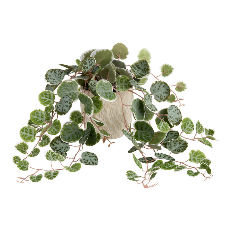 Faux String of Turtles Plant in Tan Ceramic Wavy Pot