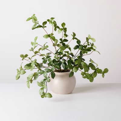 Large Green Gypsophila Artificial Plant - Hearth & Hand™ with Magnolia
