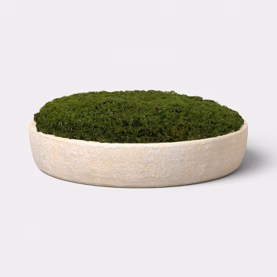 Large Moss Bowl - Threshold