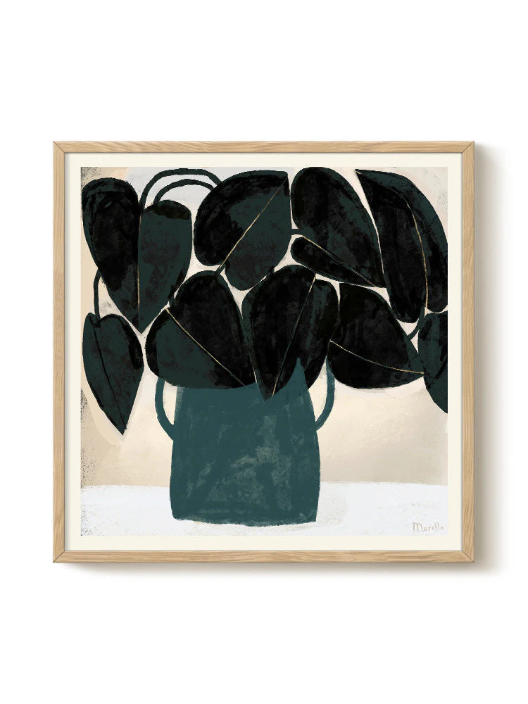 Marco - Plant Ii