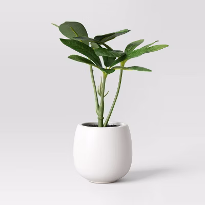 6" Mini Artificial Schefflera - Threshold