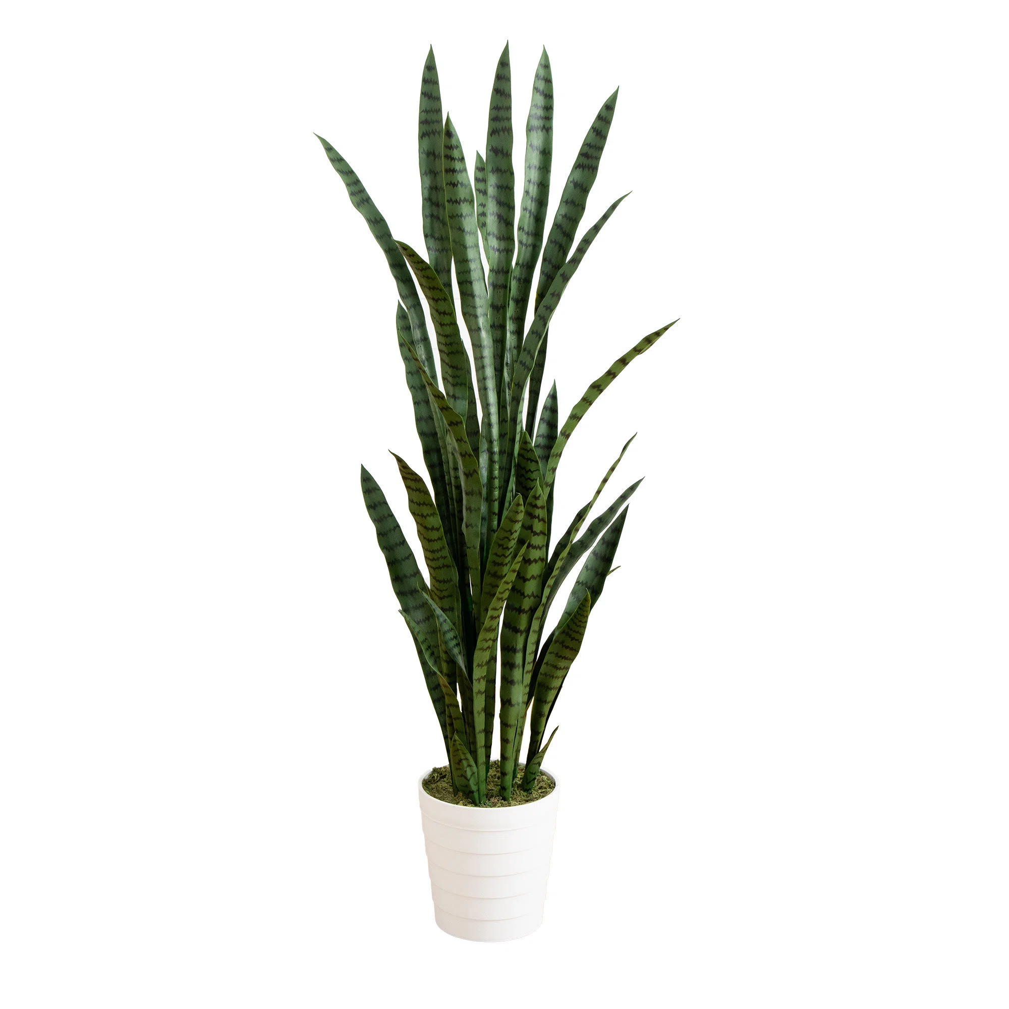 UV Resistant Artificial Sansevieria Plant in White Decorative Planter (Indoor/Outdoor)