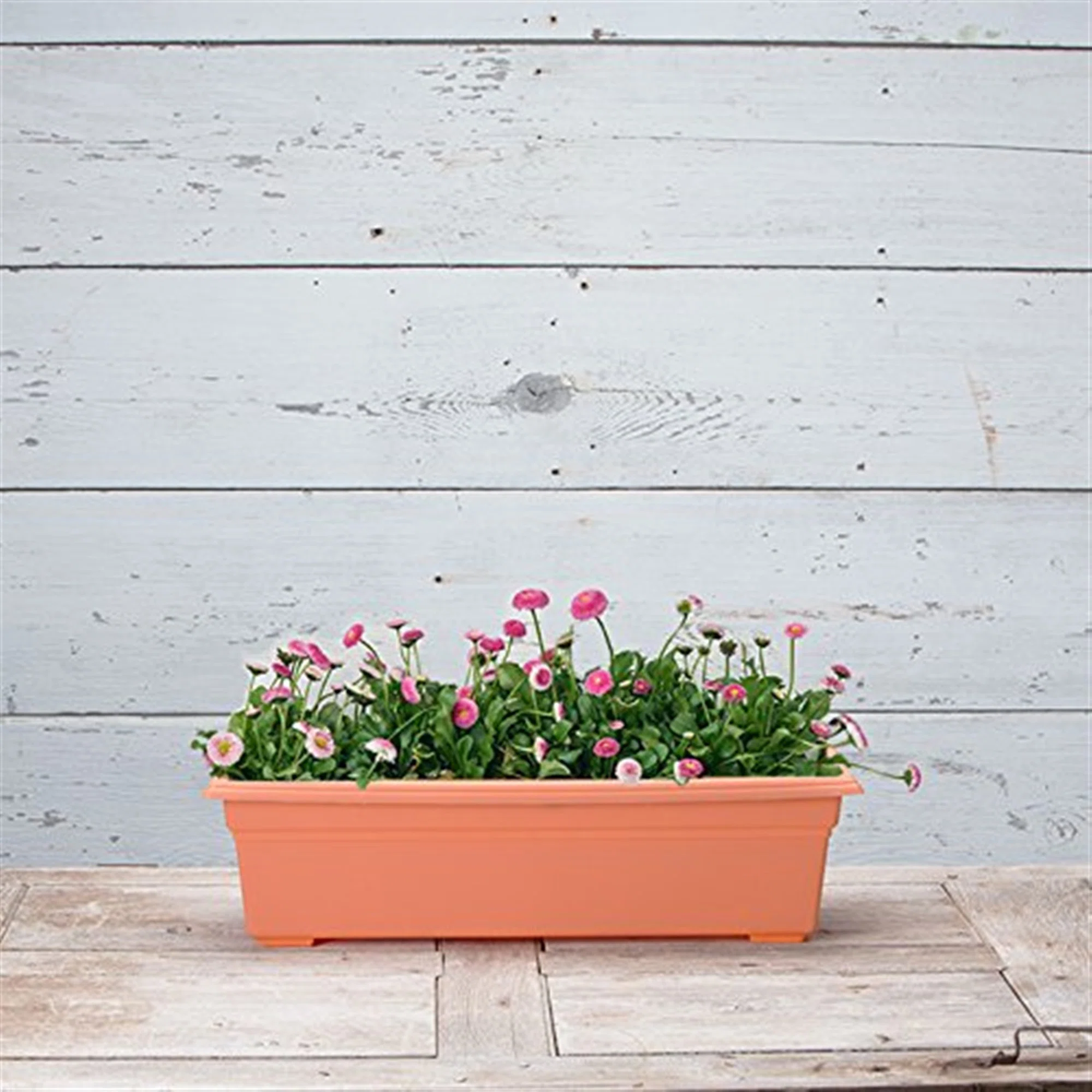 Planter Window Box