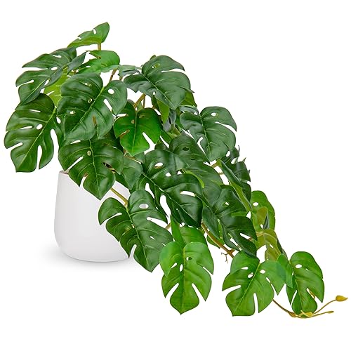 DILATATA Fake Plants Indoor 8 Inch Artificial Monstera Plant in White Ceramic Pot - Faux Potted Tropical Palm Plant for Home Aesthetic Decor Living Room Shelf Office