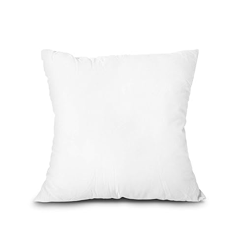 Edow Throw Pillow Insert, Lightweight Soft Polyester Down Alternative Decorative Pillow, Sham Stuffer, Machine Washable 22x22 (White, 1 Count (Pack of 1))