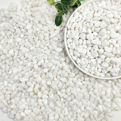 SHIZWU 2lbs White Pebbles for Indoor Plants, 3/8inch Small Rocks for Succulent Cactus Planters, Natural Polished Pebbles, River Rocks for Plants, Vases, Garden