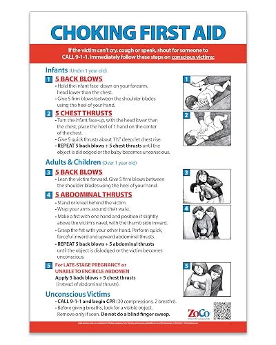 Choking First Aid Posters (2-Pack)