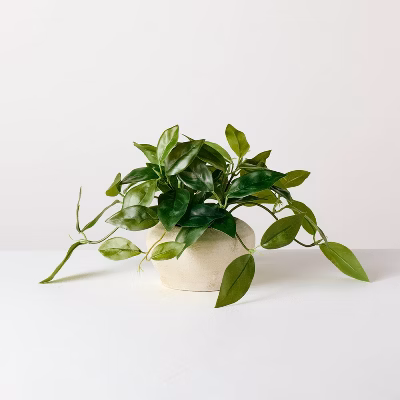8.5" Small Trailing Hoya Leaf Potted Artificial Plant - Hearth & Hand™ With Magnolia