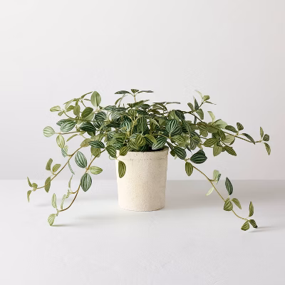 10" Small Trailing Peperomia Artificial Plant - Hearth & Hand™ With Magnolia