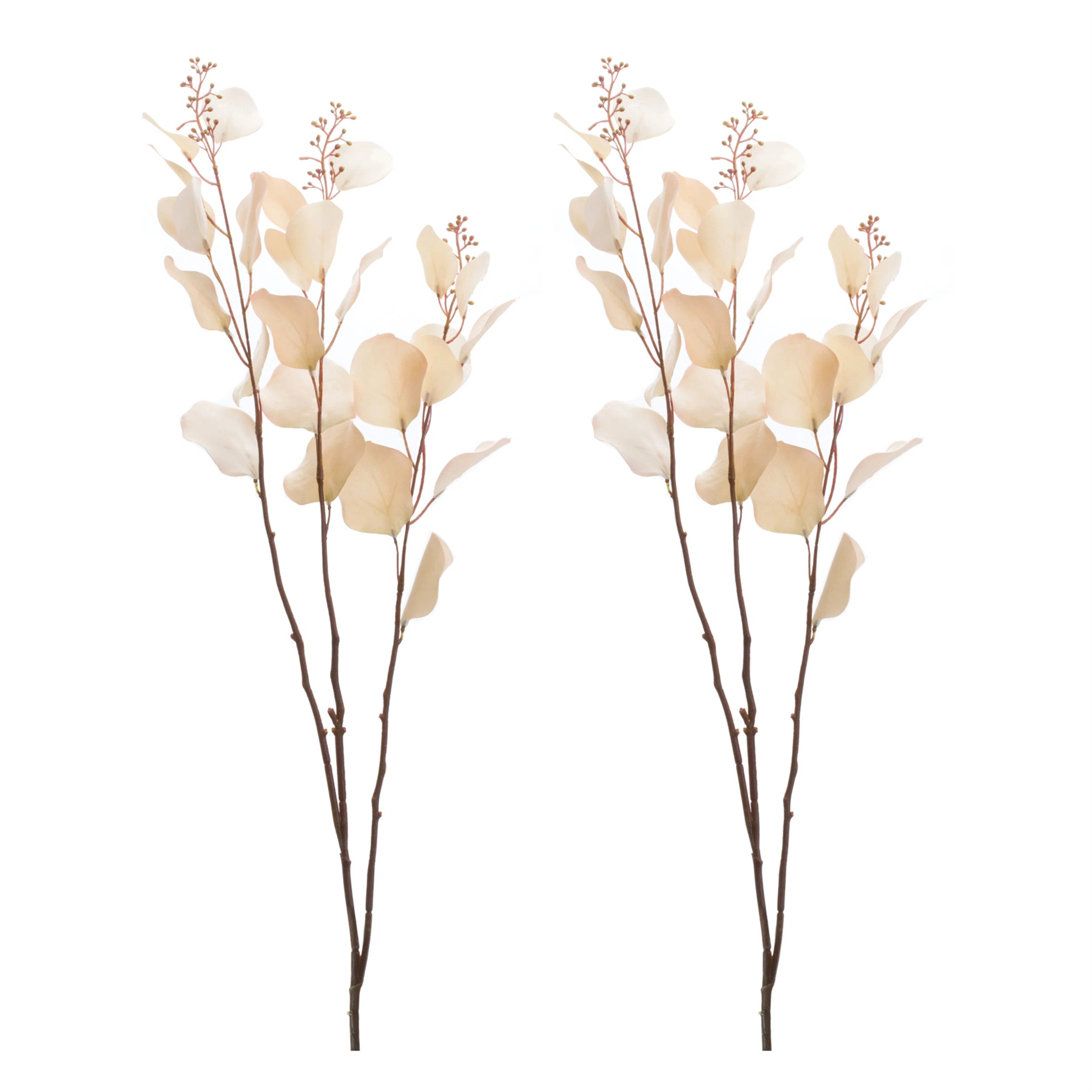  Seeded Eucalyptus Stem 