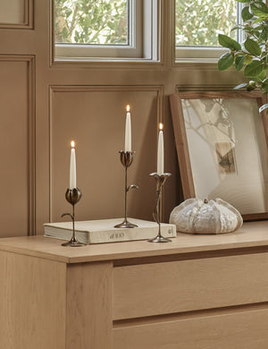 Olivia Floral Candlesticks (Set Of 3)