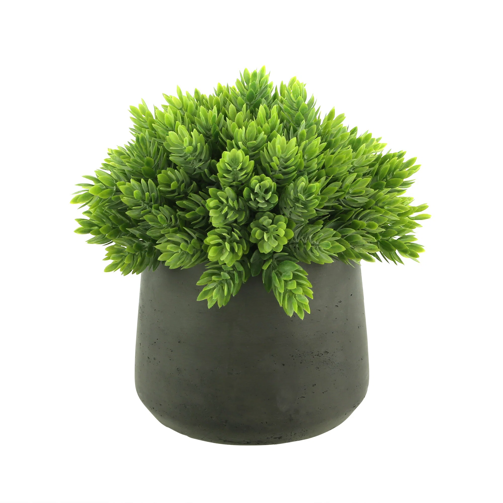 8'' Faux Succulent Plant in Fiberstone Pot