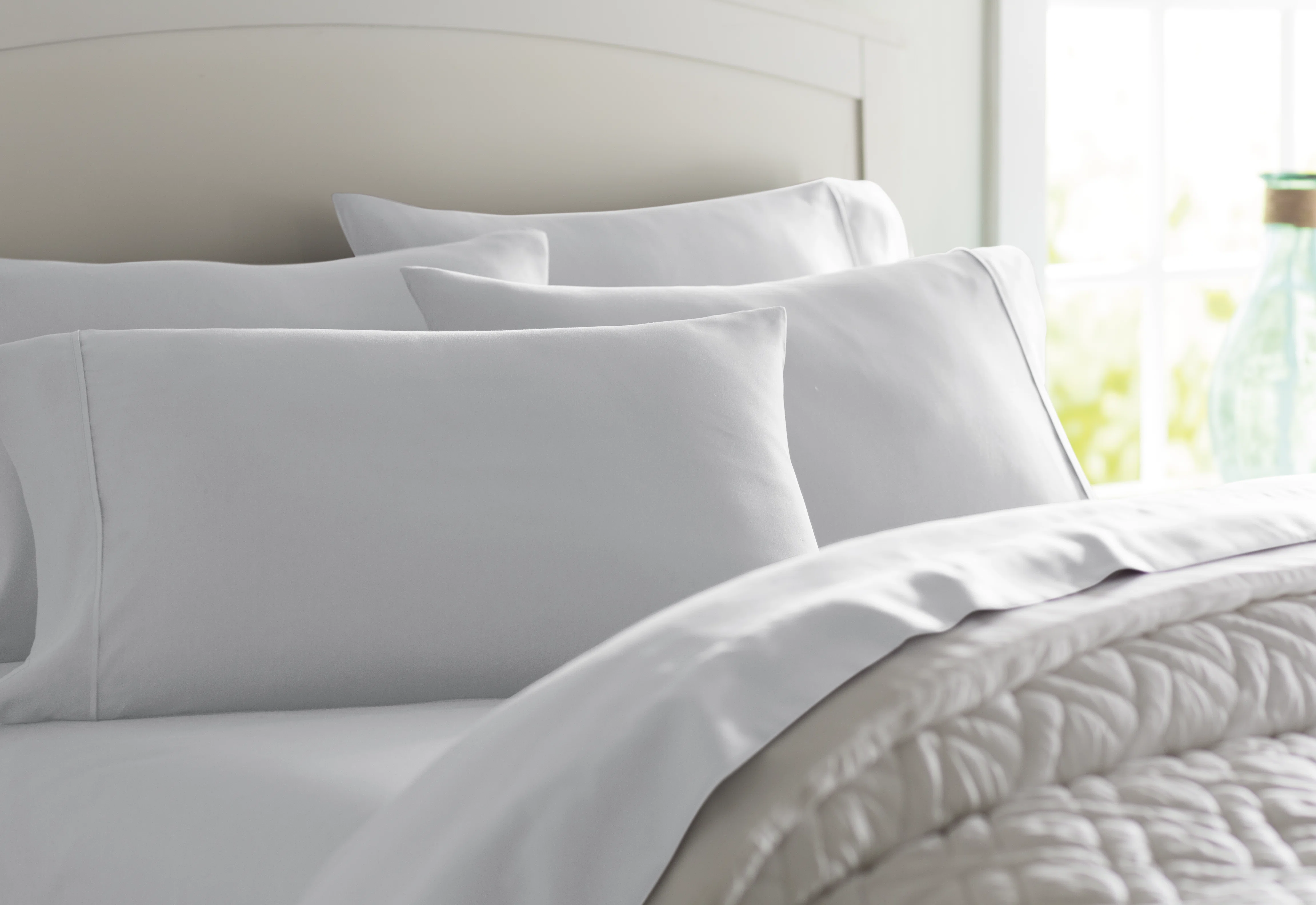 Wayfair Basics® 1800 Series Soft Microfiber Sheet Set
