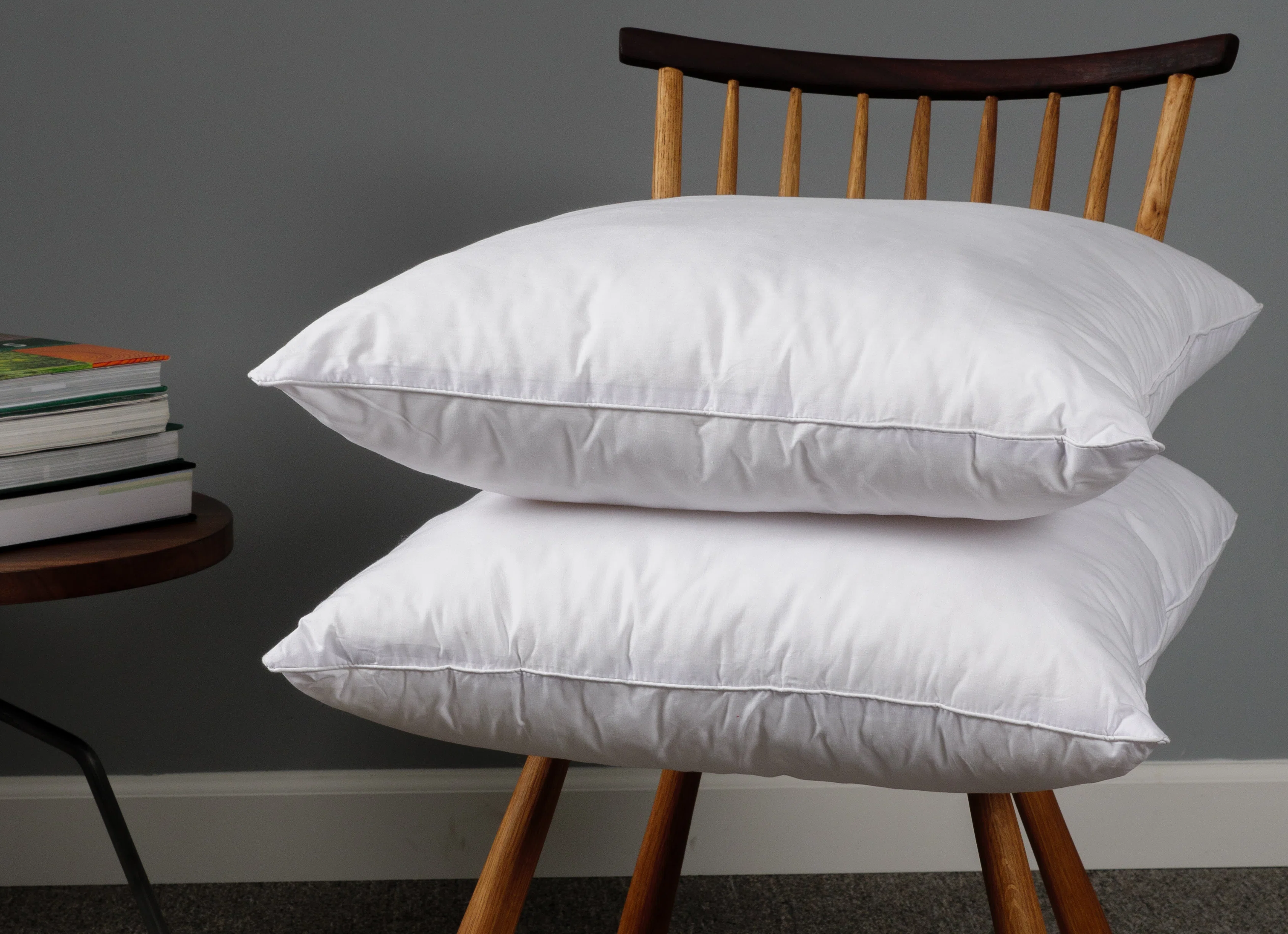 Wayfair Basics® Didomenico Pillow Insert